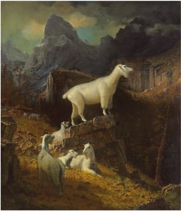 Rocky Mountain Geiten, ca. 1885 door Albert Bierstadt