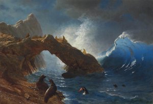 Zeehonden op de rotsen door Albert Bierstadt