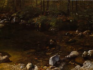 Schaduwrijk zwembad, Witte Bergen, New Hampshire door Albert Bierstadt