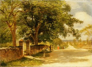 Straat in Nassau, ca. 1878