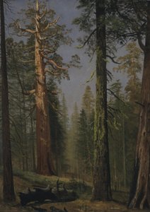 De grizzly reuzensequoia, Mariposa Grove, Californië door Albert Bierstadt