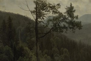 Met bomen begroeide bergen door Albert Bierstadt