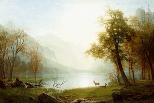 Vallei in King
