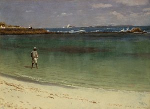 Kustgezicht van West-Indië, ca. 1880-93 (olieverf op papier gemonteerd op vezelplaat) door Albert Bierstadt