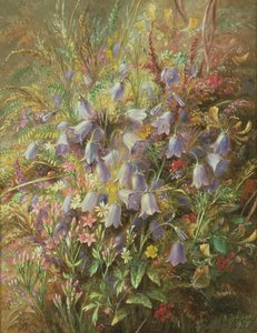Hazenklokjes en andere bosbloemen en grassen
