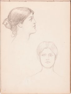  door Albert Edelfelt