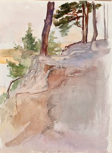  door Albert Edelfelt