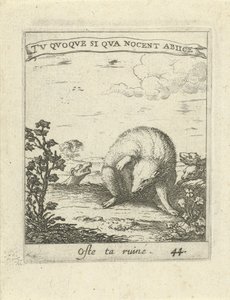 Das ontsnapt aan wolven door Albert Flamen