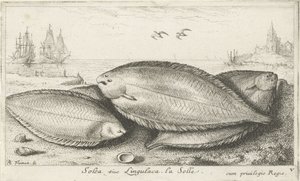 Drie zeetongen op het strand door Albert Flamen