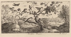 De Goudvink