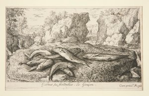 Gabius siue fundulus. Le Goujon