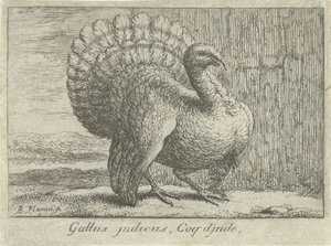 Landschap met kalkoen door Albert Flamen