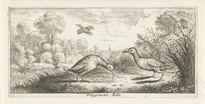 Landschap met twee rallen op een oever