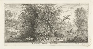 Landschap met watersnip Rusticula minor. beccassine. (titel op object) Vogelboek (serie titel) Livre d