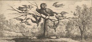 Monedula, Chouëtte De Uil: Livre d