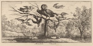 Monedula, De Uil door Albert Flamen