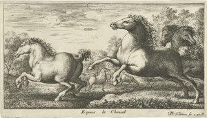 Paarden door Albert Flamen