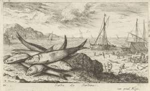 Sardines op het strand