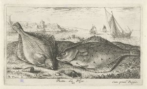 Twee platvissen op het strand door Albert Flamen