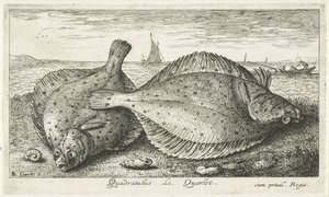 Twee schollen op het strand door Albert Flamen