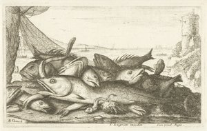 Visvangst met heremietkreeft