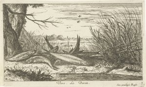 Voornen op een rivieroever door Albert Flamen