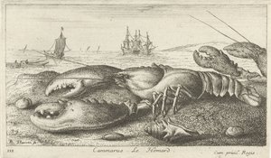 Zeekreeft op het strand Vissen en andere zeedieren - zoutwater eerste reeks Diverses Especes de Poissons de mer