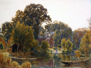Aspenbomen in de herfst