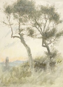 Studie van twee bomen