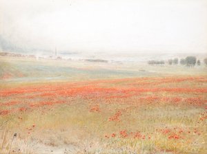 Het Onkruid. Klaprozen in Koren. Salisbury