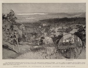 Schapenhouderij in Australië, een modelstation nabij Ballarat door Albert Henry Fullwood