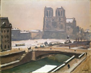 Notre-Dame in de sneeuw