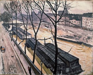 Parijs in de winter. Quai Bourbon, 1907