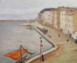 De Haven van Saint-Tropez door Albert Marquet