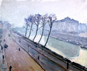De Seine in Parijs