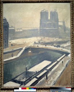 Uitzicht op de Notre-Dame kathedraal van Parijs