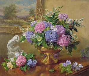 Stilleven van hortensia