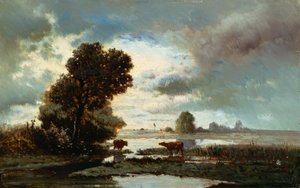 Weiland bij de rivier