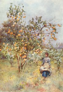 Citroenbomen: Lente