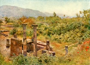 Uitzicht vanaf Pompeii