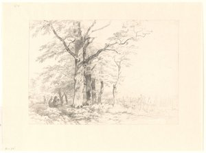 Studie van eiken in een landschap door Albertus Brondgeest