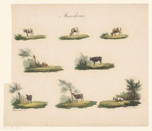 Koeien in landschap door Albertus Verhoesen