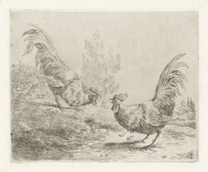 Twee vechtende hanen