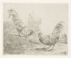 Twee vechtende hanen door Albertus Verhoesen