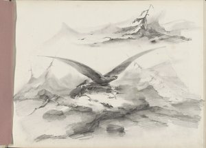 Arend vliegend boven een kust met bergen door Albertus van Beest