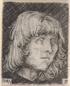  door Albrecht Altdorfer