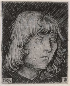 Hoofd van een jonge man door Albrecht Altdorfer