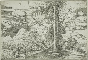 Landschap met een dubbele spar door Albrecht Altdorfer