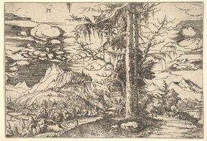 Landschap met een Dubbele Spar