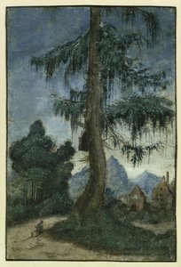 Landschap met een spar, ca. 1522 door Albrecht Altdorfer